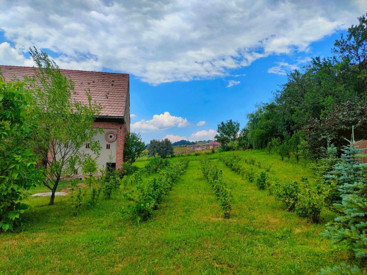 Organicle Lodge Sincraieni Exterior foto