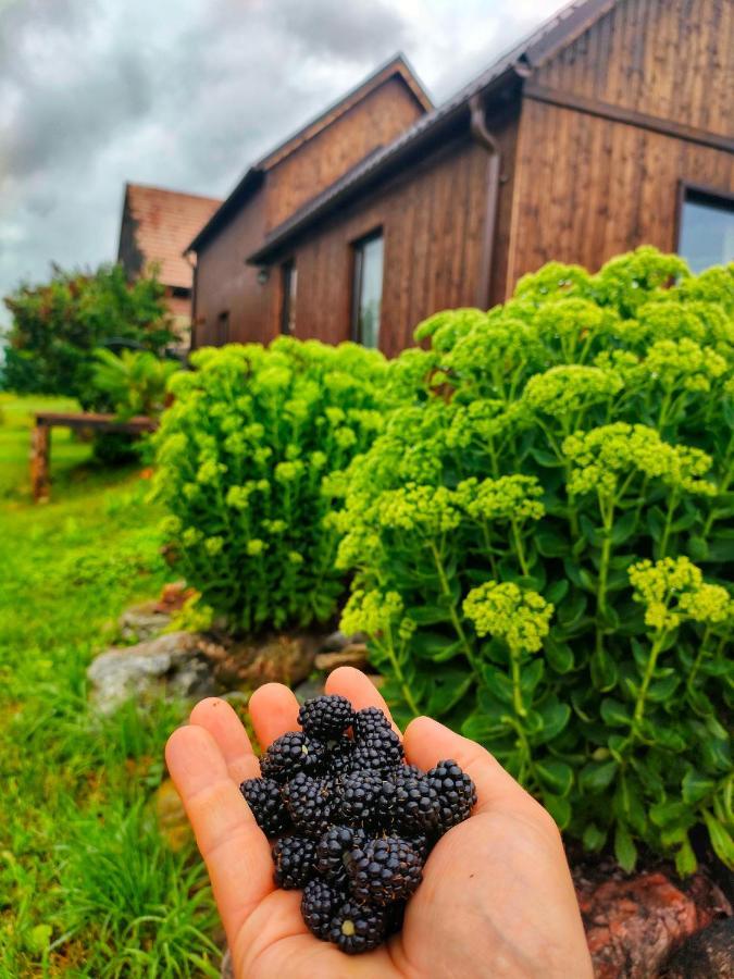 Organicle Lodge Sincraieni Exterior foto